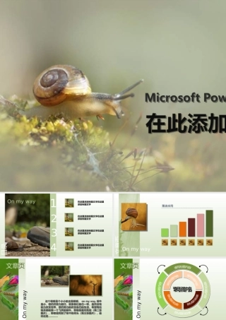 飞奔蜗牛图表