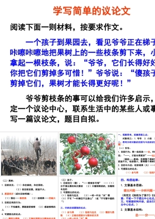 学写简单的议论文
