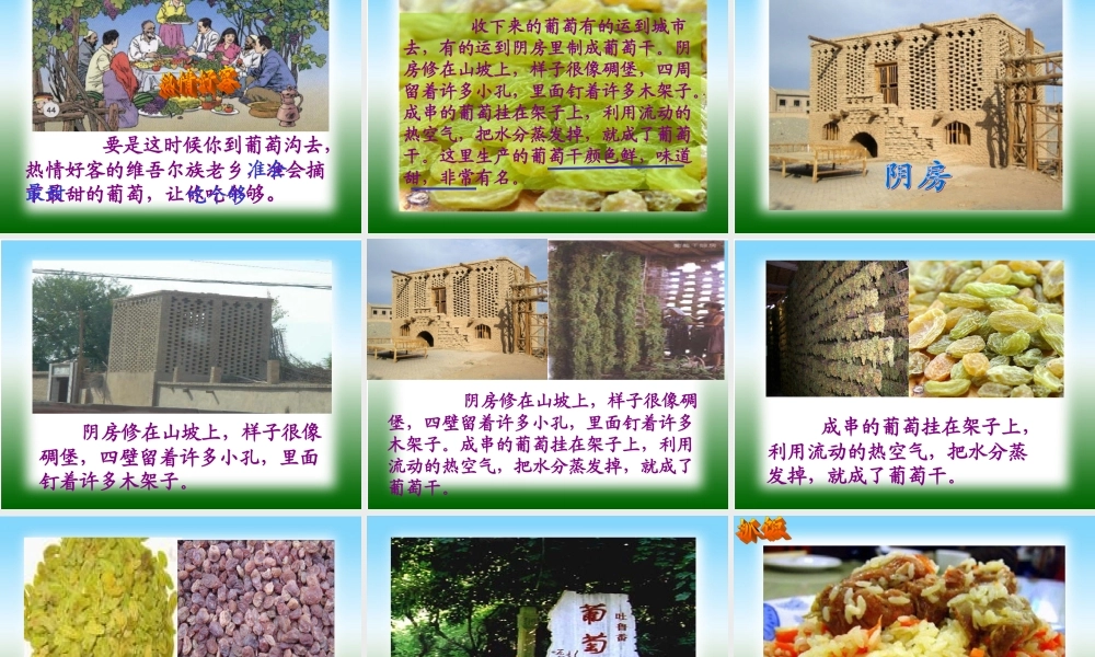 人教版小学二年级语文下册10葡萄沟课件