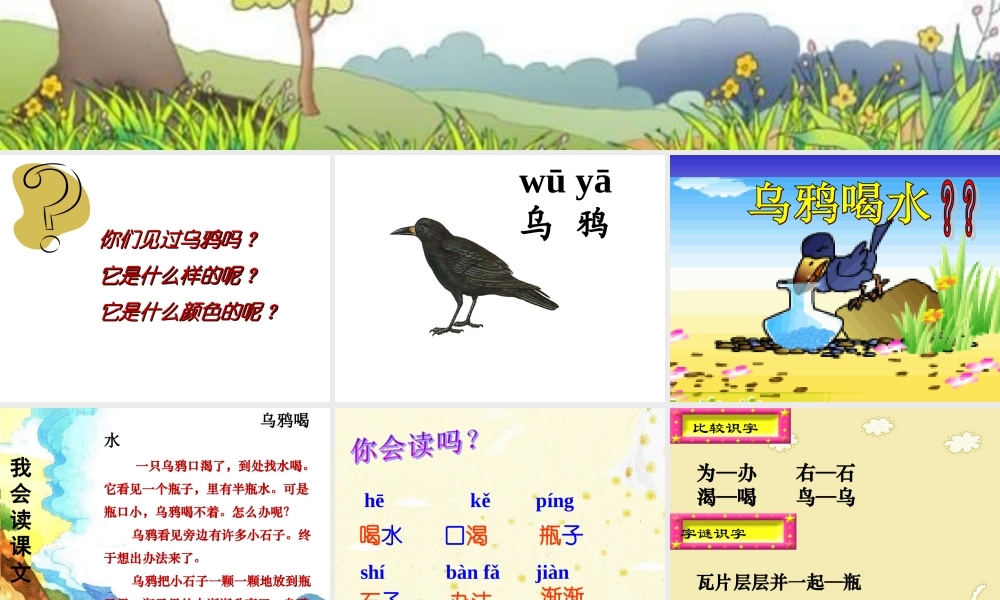 《乌鸦喝水》课件2