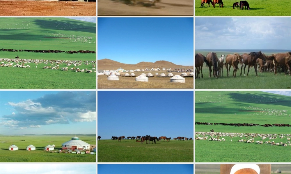 新12蒙古的兴起和元朝的建立11