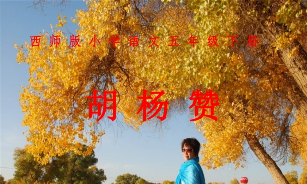 《胡杨赞》课件