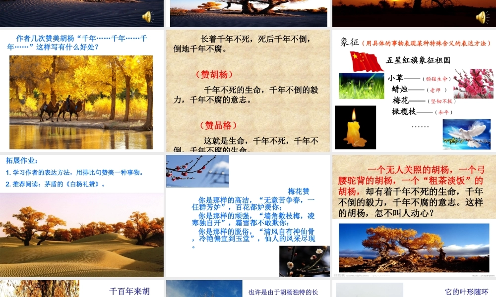 《胡杨赞》课件