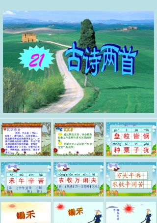 古诗两首(锄禾、悯农)