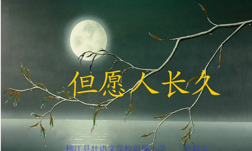 苏教版四年级语文上册《但愿人长久》