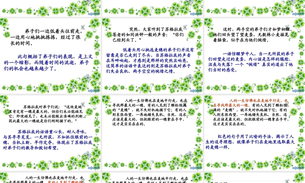 最大的麦穗课件2