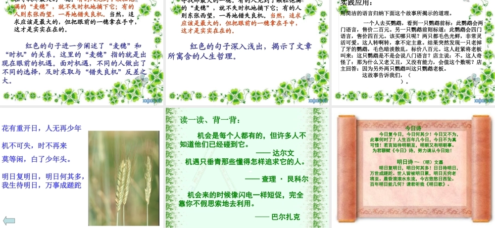 最大的麦穗课件2