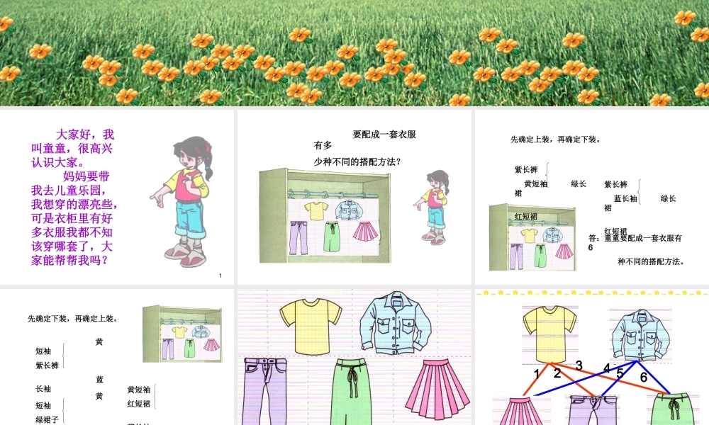 三年级上册_数学广角—搭配的学问()