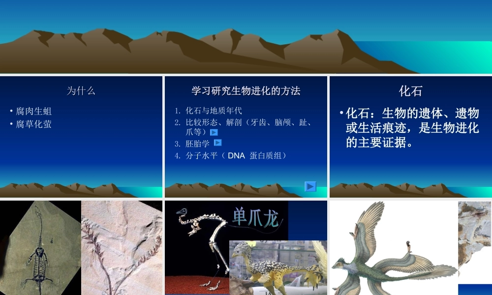 地球上生命的起源 (2)