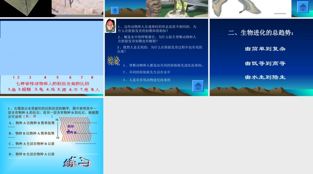 地球上生命的起源 (2)