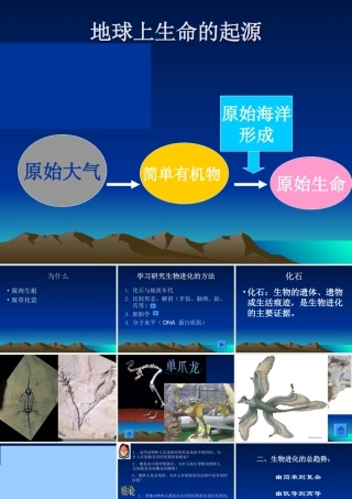 地球上生命的起源 (2)