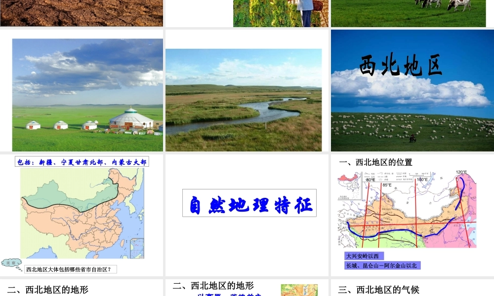 湘教版八年级下册53西北地区和青藏地区