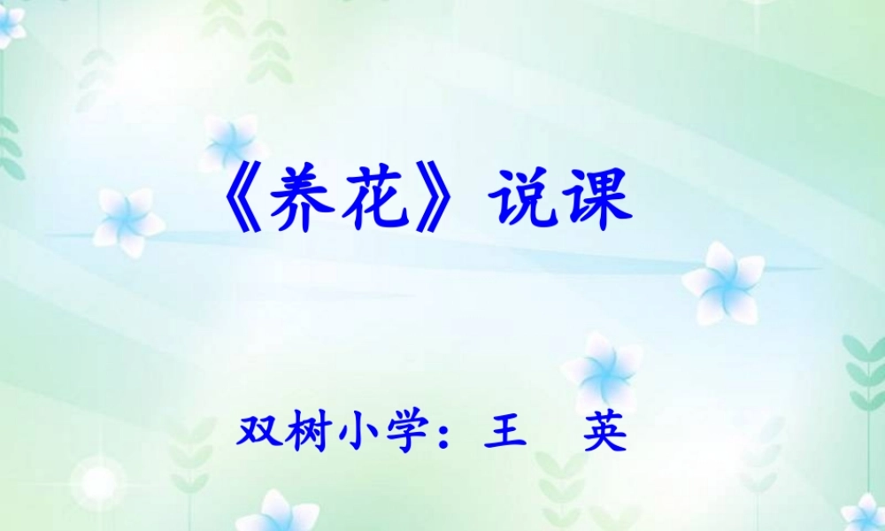 《养花》说课课件