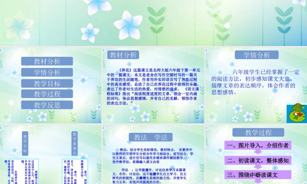 《养花》说课课件