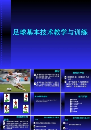 足球基本技术教学与训练 (2)