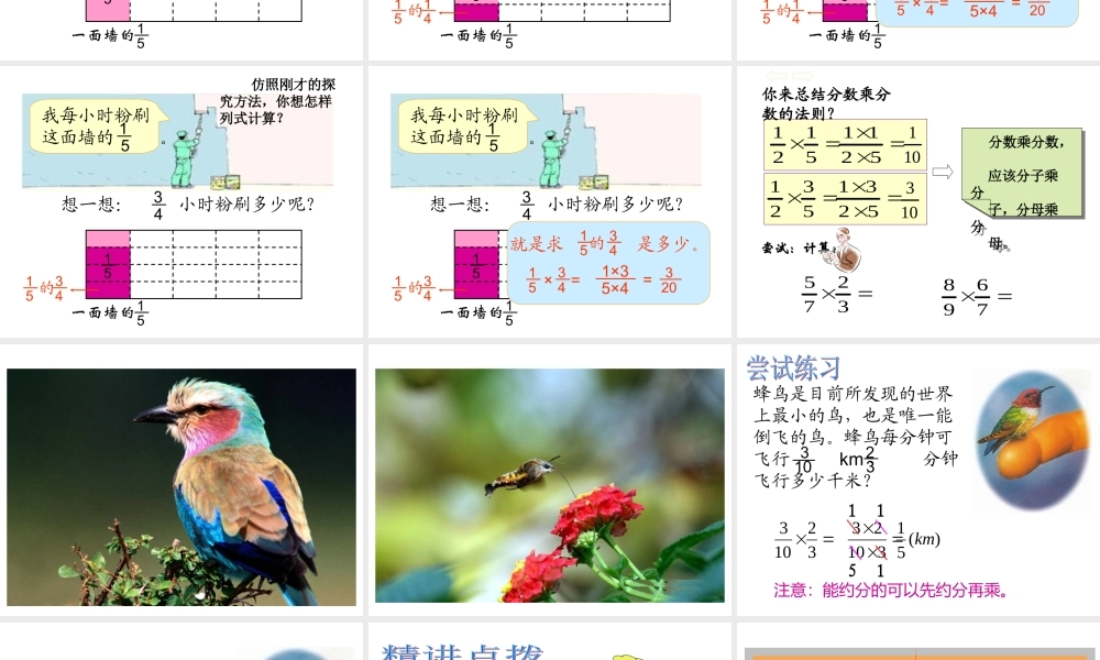 分数乘法（三）王春林