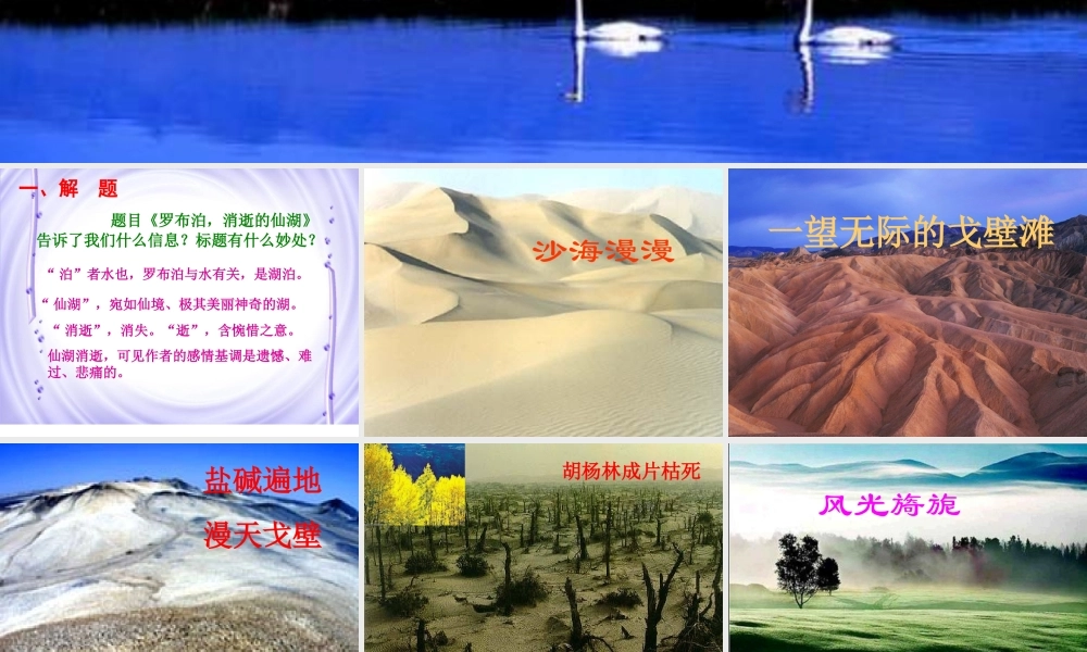 《罗布泊_消逝的仙湖》课件