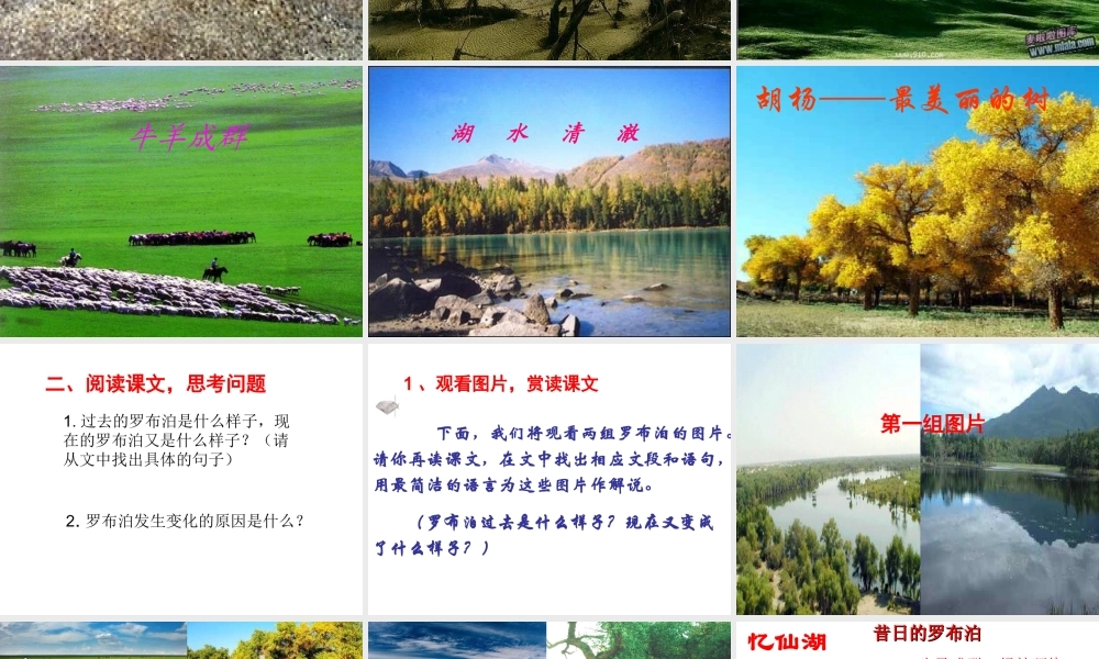 《罗布泊_消逝的仙湖》课件