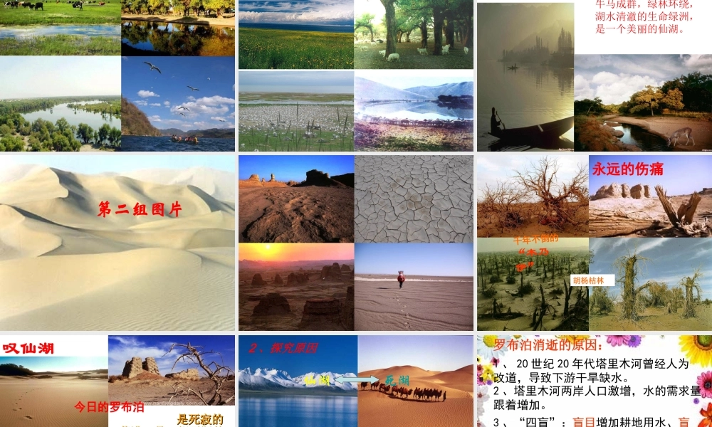 《罗布泊_消逝的仙湖》课件