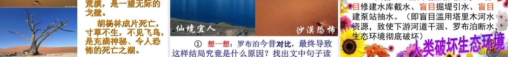 《罗布泊_消逝的仙湖》课件