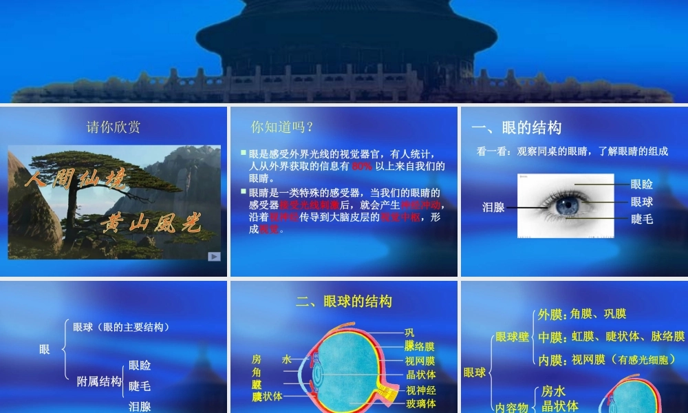 七年级生物下眼与视觉