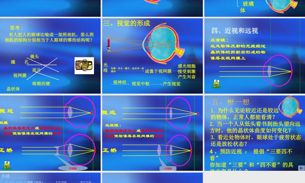 七年级生物下眼与视觉