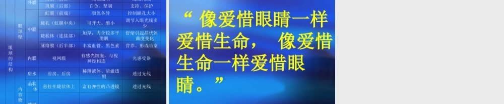 七年级生物下眼与视觉
