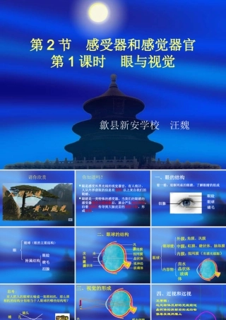 七年级生物下眼与视觉