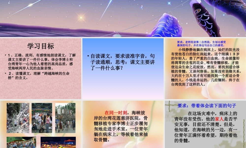 小学四年级上册语文第二十二课跨越海峡的生命桥PPT课件2