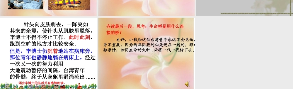小学四年级上册语文第二十二课跨越海峡的生命桥PPT课件2
