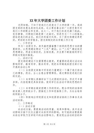 XX年大学团委工作计划 