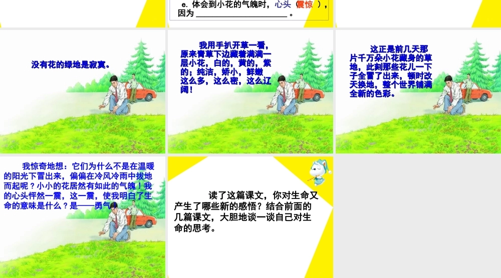 《花的勇气》教学课件