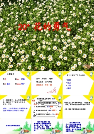 《花的勇气》教学课件