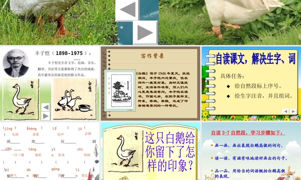《白鹅》 (3)