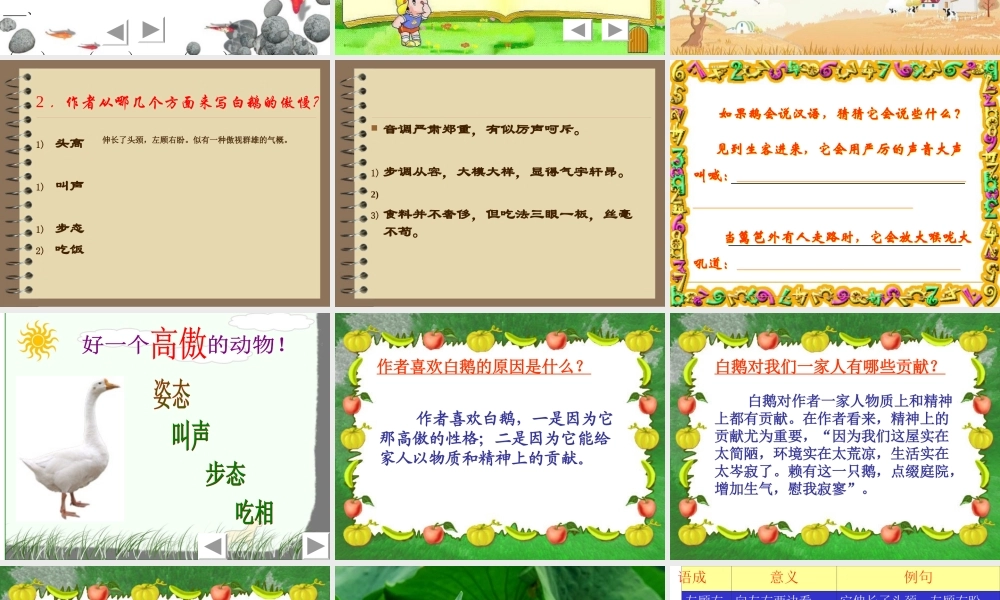 《白鹅》 (3)