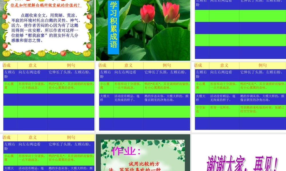 《白鹅》 (3)