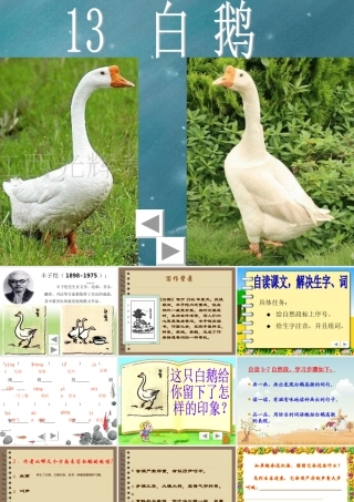 《白鹅》 (3)