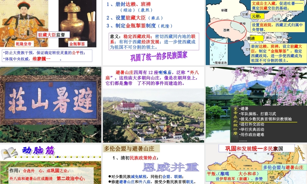 统一多民族国家的巩固和发展