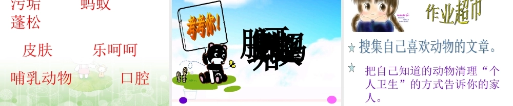 动物的个人卫生2