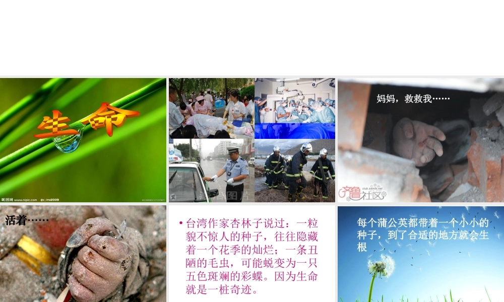 四年级下册五单元作文(完美版)