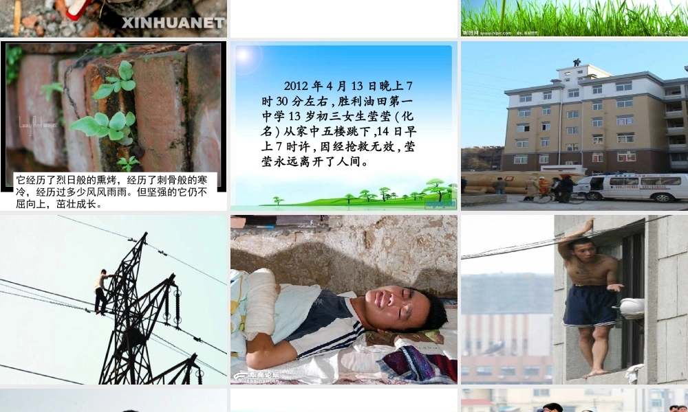 四年级下册五单元作文(完美版)