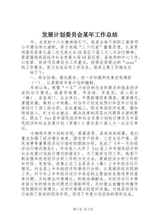 发展计划委员会某年工作总结 