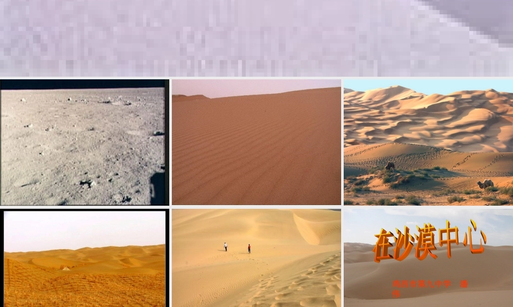 在沙漠中心 (2)