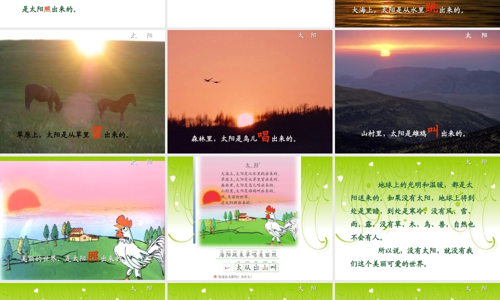 北师大版一年级语文上册《太阳》课件