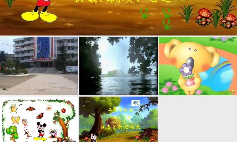 品德与生活课件（毛遐）1