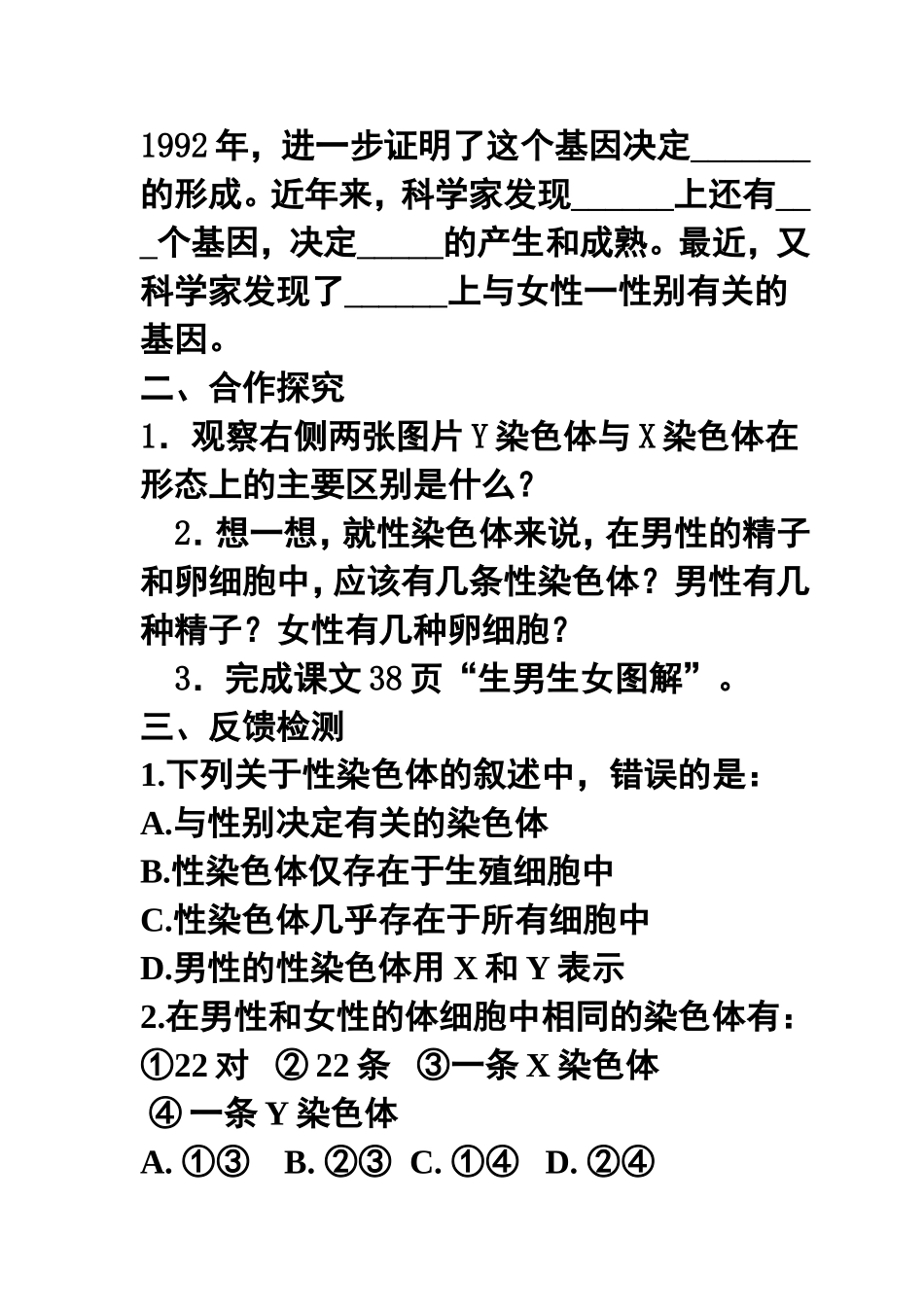 人的性别遗传导学练案_第3页