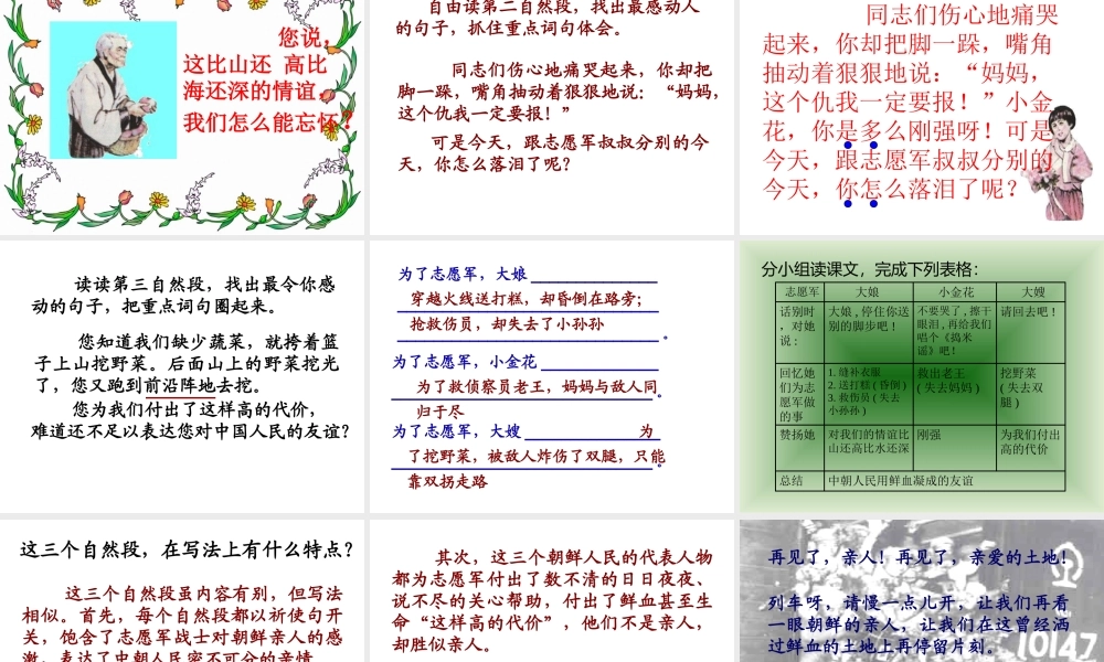 教案第14课《再见了,亲人》课件1