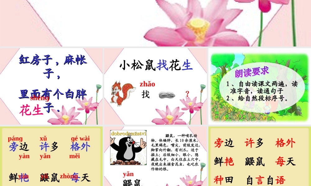 法布尔观察昆虫