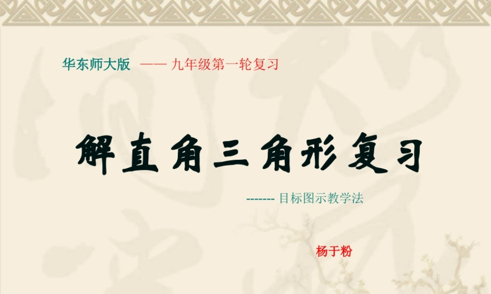 解直角三角形复习