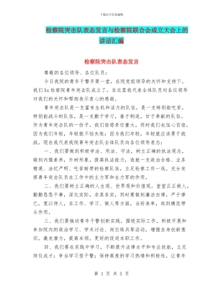 检察院突击队表态发言与检察院联合会成立大会上的讲话汇编